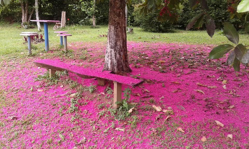 Pouso Jambo Rosa Hotel Валенца Екстериор снимка